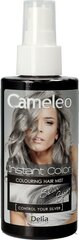Спрей-краска для волос Delia Cosmetics Cameleo, 150 мл цена и информация | Краска для волос | 220.lv