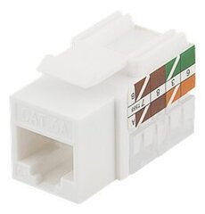 Deltaco MD-124, RJ45 UTP (CAT 6A) цена и информация | Кабели и провода | 220.lv