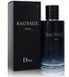 Smaržas Dior Sauvage PP vīriešiem, 200 ml cena un informācija | Vīriešu smaržas | 220.lv