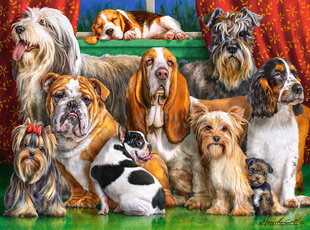 Пазл Castorland Puzzle Dog Club, 3000 дет. цена и информация | Пазлы | 220.lv