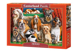 Puzle Castorland Dog Club, 3000 det. cena un informācija | Puzles, 3D puzles | 220.lv
