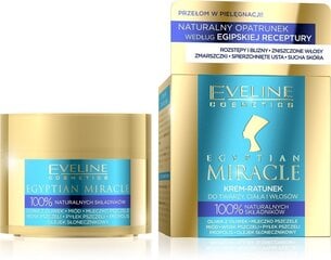 Крем для лица, тела и волос Eveline Egyptian Miracle 40 мл цена и информация | Кремы для лица | 220.lv