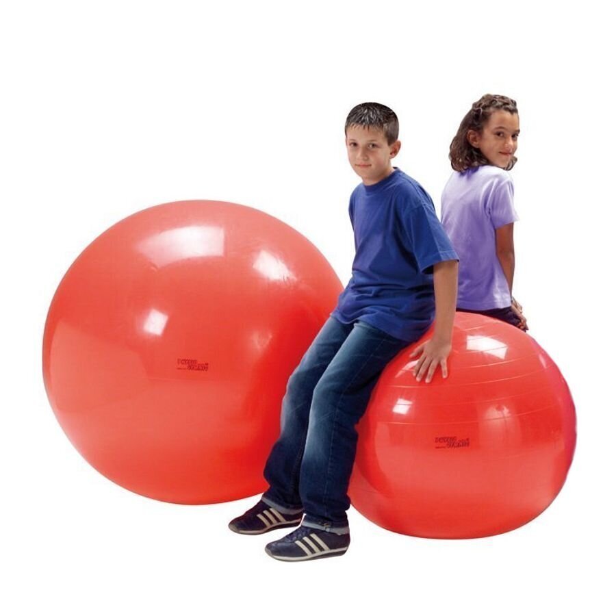 Vingrošanas bumba Original PEZZI Physioball 95cm. cena un informācija | Vingrošanas bumbas | 220.lv