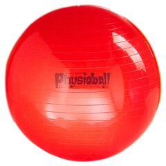 Гимнастический мяч Original PEZZI Physioball 95 см цена и информация | Гимнастические мячи | 220.lv