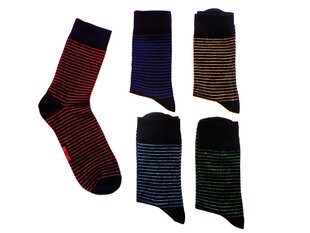 Мужские носки "Полоски" (5 пар в упаковке) цена и информация | Мужские носки | 220.lv