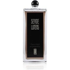 Parfimērijas ūdens Serge Lutens Five O´Clock Au Gingembre EDP sievietēm/vīriešiem 100 ml цена и информация | Женские духи | 220.lv