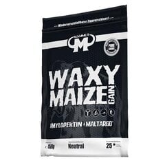 Пищевая добавка MAMMUT Nutrition Amylopektin Waxy Maize Gain 1500 г цена и информация | Энергетики | 220.lv
