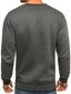 Pelēks vīriešu džemperis "Vurt" цена и информация | Vīriešu jakas | 220.lv