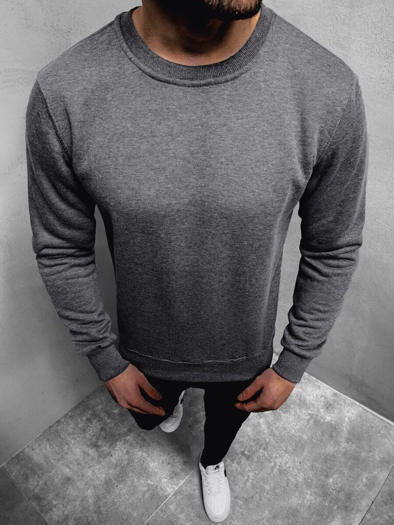 Pelēks vīriešu džemperis "Vurt" цена и информация | Vīriešu jakas | 220.lv