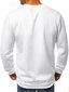 Balts vīriešu džemperis "Vurt" цена и информация | Vīriešu jakas | 220.lv