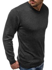 Tumši pelēks vīriešu džemperis "Grafit" cena un informācija | Vīriešu džemperi | 220.lv