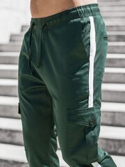 Tumši zaļas vīriešu bikses "Trust" цена и информация | Мужские брюки | 220.lv