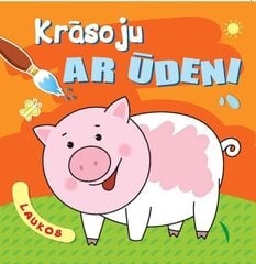 Krāsoju ar ūdeni. Laukos цена и информация | Книжки - раскраски | 220.lv