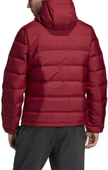 Adidas Пуховая куртка Helionic Ho Jkt Red цена и информация | Мужские куртки | 220.lv