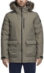 Adidas Куртка Xploric Parka Cargo цена и информация | Мужские куртки | 220.lv