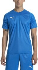 Puma Futbola T-krekls Liga Jersey Core Blue cena un informācija | Vīriešu T-krekli | 220.lv