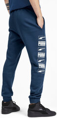 Puma Bikses Rebel Bold Pants Blue цена и информация | Мужская спортивная одежда | 220.lv