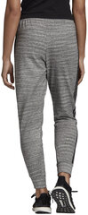 Штаны Adidas W Mh Hth Pant Grey цена и информация | Спортивная одежда для женщин | 220.lv