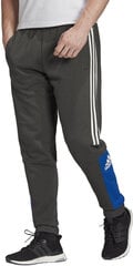 Штаны Adidas M Sid Pnt Brand Chaki Blue цена и информация | Мужская спортивная одежда | 220.lv