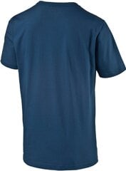 Puma Футболка Power Block Dry Tee Blue цена и информация | Мужские футболки | 220.lv