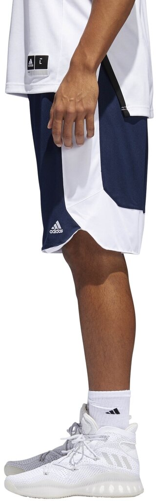 Adidas Basketbola Šorti Rev Crzy Ex Navy White цена и информация | Sporta apģērbs vīriešiem | 220.lv