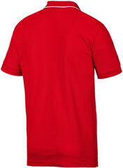 Puma T-krekls SF Polo Rosso Corsa Red цена и информация | Мужские футболки | 220.lv