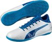 Puma Apavi Evotouch 3 IT White Blue cena un informācija | Sporta apavi vīriešiem | 220.lv