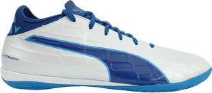 Puma Обувь Evotouch 3 IT White Blue цена и информация | Кроссовки для мужчин | 220.lv