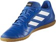 Adidas Apavi ACE 17.4 SALA Blue цена и информация | Sporta apavi vīriešiem | 220.lv