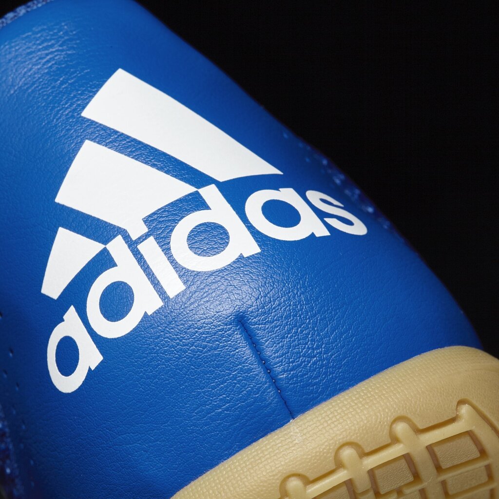 Adidas Apavi ACE 17.4 SALA Blue cena un informācija | Sporta apavi vīriešiem | 220.lv