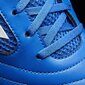 Adidas Apavi ACE 17.4 SALA Blue цена и информация | Sporta apavi vīriešiem | 220.lv