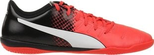 Puma Обувь Evopower 4.3 IT Red Black цена и информация | Мужские ботинки | 220.lv
