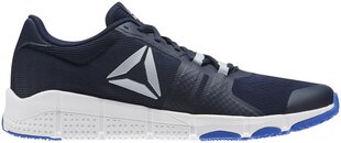 Reebok Apavi Trainflex 2 Blue cena un informācija | Sporta apavi vīriešiem | 220.lv