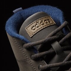 Adidas Neo Обувь Advantagecl Mid Dark Brown цена и информация | Кроссовки для мужчин | 220.lv