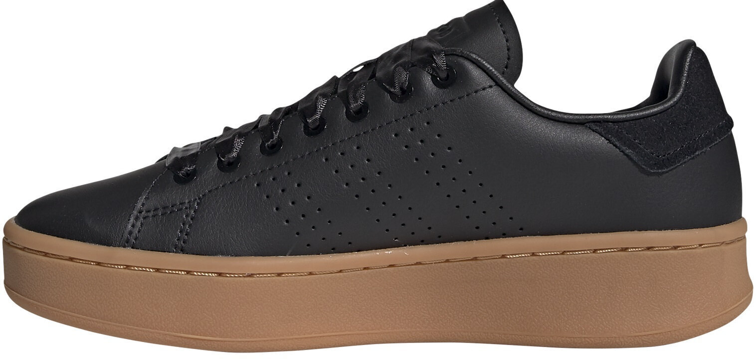 Adidas Apavi Advantage Bold Black Brown цена и информация | Sporta apavi sievietēm | 220.lv