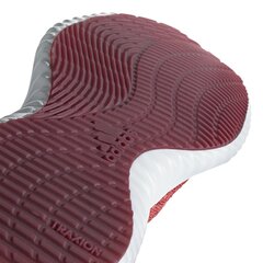 Adidas Обувь AlphaBounce Trainer Red цена и информация | Кроссовки для мужчин | 220.lv