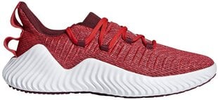 Adidas Обувь AlphaBounce Trainer Red цена и информация | Кроссовки для мужчин | 220.lv