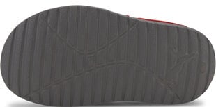 Puma Sandales Bērniem Divecat V2 Injex Inf Grey Red цена и информация | Детские сандали | 220.lv