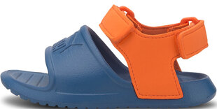 Puma Детские сандалии Divecat V2 Injex Inf Blue Orange цена и информация | Детские сандалии | 220.lv