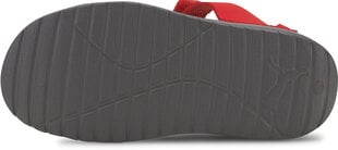 Puma Sandales Bērniem Divecat V2 Injex Grey Red cena un informācija | Bērnu sandales | 220.lv