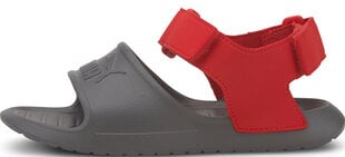 Puma Детские сандалии Divecat V2 Injex Grey Red цена и информация | Детские сандалии | 220.lv