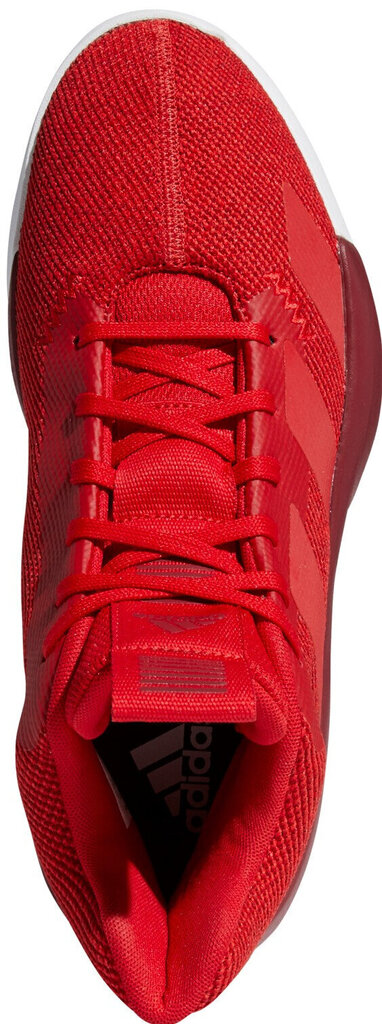 Adidas Apavi Pro Next 2019 Red цена и информация | Sporta apavi vīriešiem | 220.lv