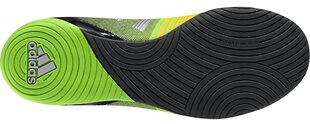 Adidas Обувь для подростков Nitrocharge 3.0 IN цена и информация | Футбольные ботинки | 220.lv