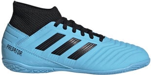 Adidas Apavi Pusaudžiem Predator 19.3 In J Blue цена и информация | Футбольные ботинки | 220.lv