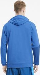 Puma Джемпер Train Graphic Knit Hoodie Blue цена и информация | Мужские толстовки | 220.lv