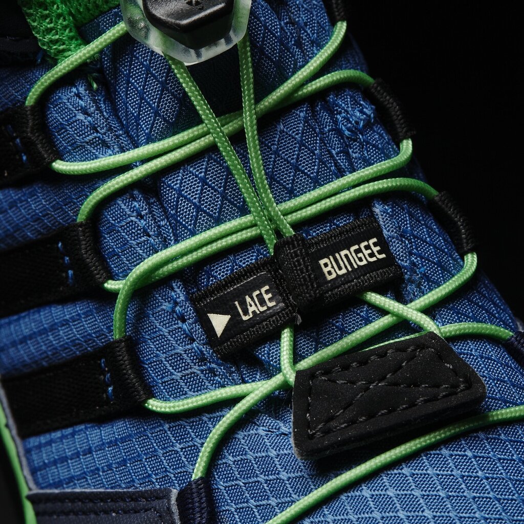 Adidas Apavi Bērniem Terrex Mid Gtx K Blue Green cena un informācija | Bērnu zābaki | 220.lv