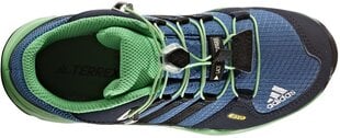 Adidas Детская обувь Terrex Mid Gtx K Blue Green цена и информация | Детские сапоги | 220.lv