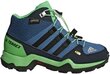 Adidas Apavi Bērniem Terrex Mid Gtx K Blue Green cena un informācija | Bērnu zābaki | 220.lv