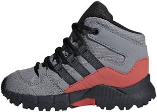 Adidas Детская обувь Terrex Mid Gtx Grey цена и информация | Детские сапоги | 220.lv