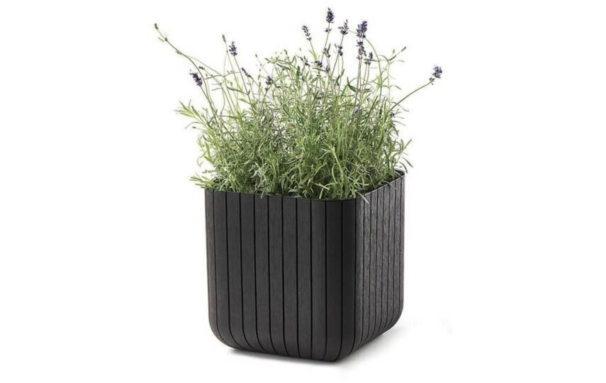 Puķu pods Cube Planter M brūns cena un informācija | Puķu podi | 220.lv